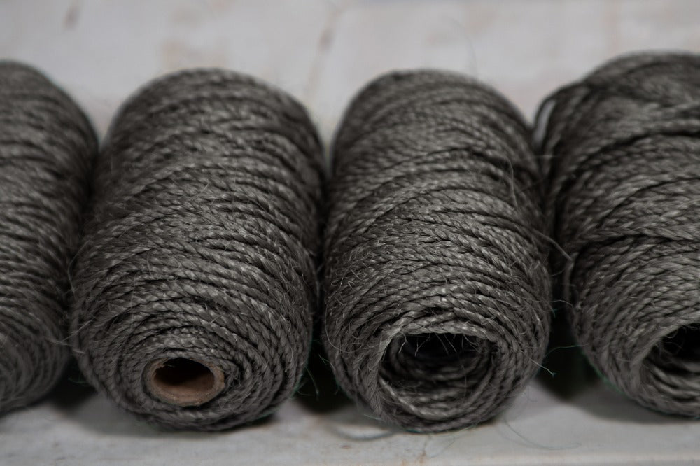 Sansevieria Corchada Añil Grisáceo A