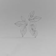 Aretes Liana